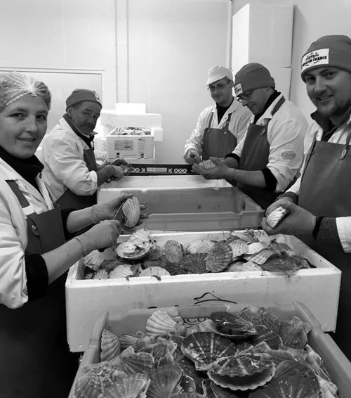 Equipe Goeland marée