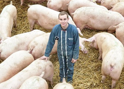 Porc des Hauts Pays