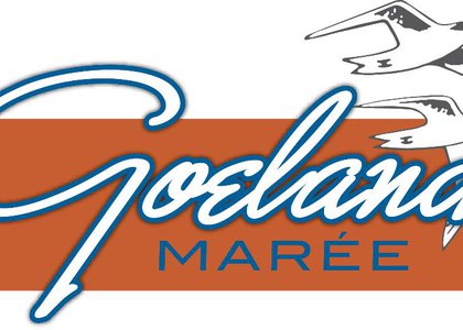 Goéland Marée à Cappelle-la-Grande